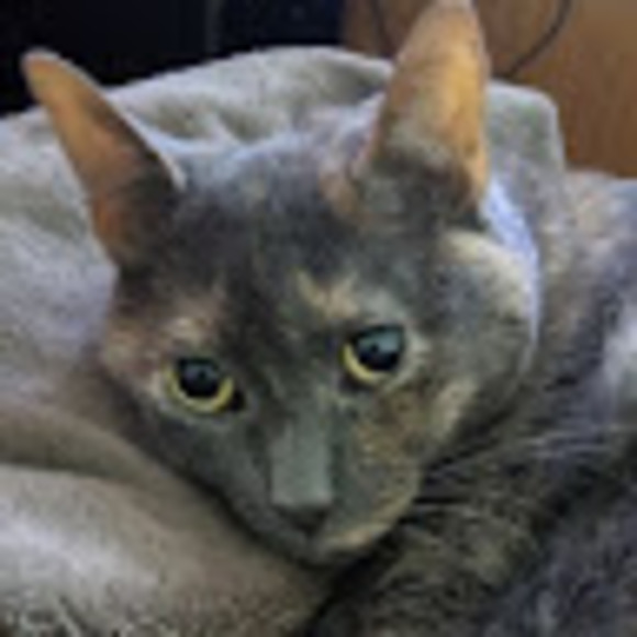 Meet your Posher, Alicia - Picture 1 of 1